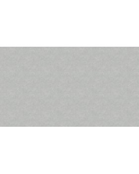 Hg10 005 Обои HYGGE Roll (Summer) (1*6) 10,05x1,00 флизелин-foto2