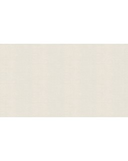 BN 220621 Обои BN (Grounded) (1*12) 10,05x0,53 винил на флизелине-foto3