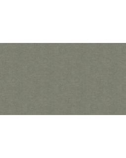 BN 220624 Обои BN (Grounded) (1*12) 10,05x0,53 винил на флизелине-foto3