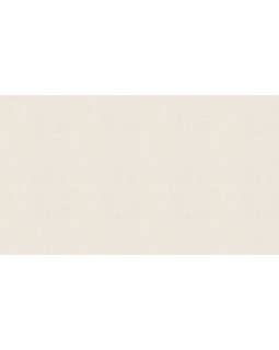 BN 220641 Обои BN (Grounded) (1*12) 10,05x0,53 винил на флизелине-foto3