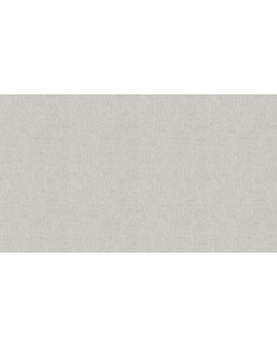 BN 220642 Обои BN (Grounded) (1*12) 10,05x0,53 винил на флизелине-foto3