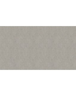 BN 220643 Обои BN (Grounded) (1*12) 10,05x0,53 винил на флизелине-foto3