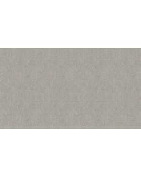 BN 220643 Обои BN (Grounded) (1*12) 10,05x0,53 винил на флизелине-foto3