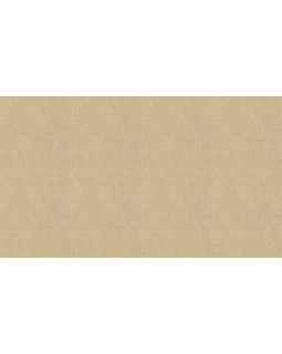 BN 220645 Обои BN (Grounded) (1*12) 10,05x0,53 винил на флизелине-foto3