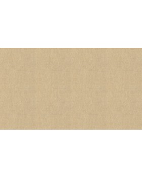 BN 220645 Обои BN (Grounded) (1*12) 10,05x0,53 винил на флизелине-foto3