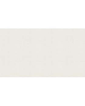 BN 220650 Обои BN (Grounded) (1*12) 10,05x0,53 винил на флизелине-foto3