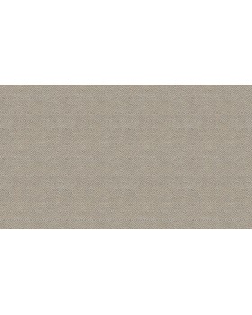 BN 220651 Обои BN (Grounded) (1*12) 10,05x0,53 винил на флизелине-foto3