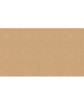 BN 220653 Обои BN (Grounded) (1*12) 10,05x0,53 винил на флизелине-foto3