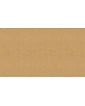 BN 220660 Обои BN (Grounded) (1*12) 10,05x0,53 винил на флизелине-foto3