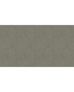 BN 220661 Обои BN (Grounded) (1*12) 10,05x0,53 винил на флизелине-foto3