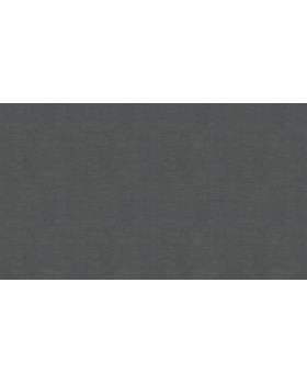 BN 220662 Обои BN (Grounded) (1*12) 10,05x0,53 винил на флизелине-foto3