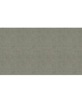 BN 219645 Обои BN (Grounded) (1*12) 10,05x0,53 винил на флизелине-foto3