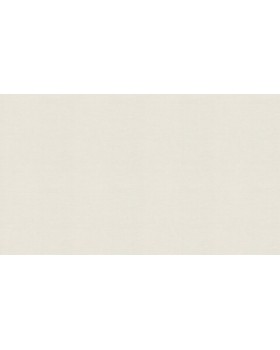 BN 219665 Обои BN (Grounded) (1*12) 10,05x0,53 винил на флизелине-foto3