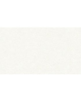 BN 220500 Обои BN (Grand Safari) (1*12) 10,05x0,53 винил на флизелине