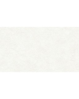 BN 220500 Обои BN (Grand Safari) (1*12) 10,05x0,53 винил на флизелине-foto2