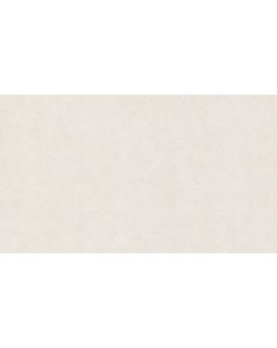BN 220501 Обои BN (Grand Safari) (1*12) 10,05x0,53 винил на флизелине