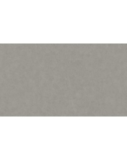 BN 220503 Обои BN (Grand Safari) (1*12) 10,05x0,53 винил на флизелине