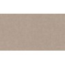 BN 220504 Обои BN (Grand Safari) (1*12) 10,05x0,53 винил на флизелине