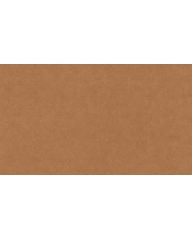 BN 220505 Обои BN (Grand Safari) (1*12) 10,05x0,53 винил на флизелине