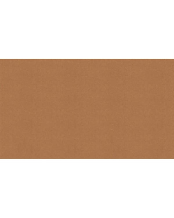 BN 220505 Обои BN (Grand Safari) (1*12) 10,05x0,53 винил на флизелине