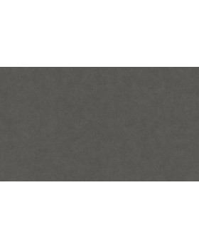 BN 220506 Обои BN (Grand Safari) (1*12) 10,05x0,53 винил на флизелине