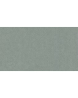 BN 220508 Обои BN (Grand Safari) (1*12) 10,05x0,53 винил на флизелине