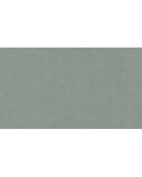 BN 220508 Обои BN (Grand Safari) (1*12) 10,05x0,53 винил на флизелине
