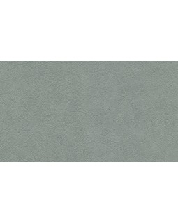 BN 220508 Обои BN (Grand Safari) (1*12) 10,05x0,53 винил на флизелине-foto2