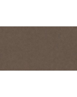 BN 220509 Обои BN (Grand Safari) (1*12) 10,05x0,53 винил на флизелине