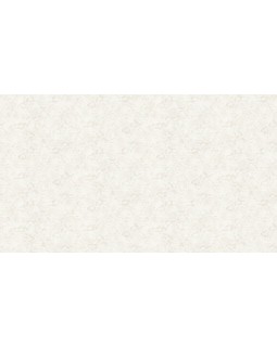 BN 220540 Обои BN (Grand Safari) (1*12) 10,05x0,53 винил на флизелине-foto3