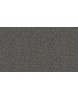 BN 220555 Обои BN (Grand Safari) (1*12) 10,05x0,53 флизелин-foto3