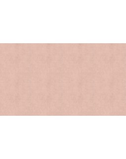 BN 220850 Обои BN (Color Stories II) (1*12) 10,05x0,53 винил на флизелине-foto3