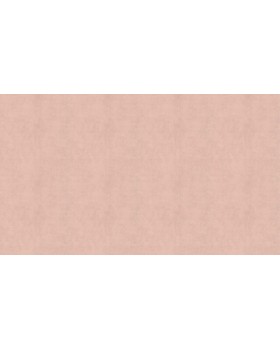 BN 220850 Обои BN (Color Stories II) (1*12) 10,05x0,53 винил на флизелине-foto3