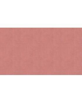 BN 220854 Обои BN (Color Stories II) (1*12) 10,05x0,53 винил на флизелине-foto3