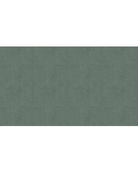 BN 220855 Обои BN (Color Stories II) (1*12) 10,05x0,53 винил на флизелине-foto3