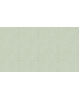 BN 220857 Обои BN (Color Stories II) (1*12) 10,05x0,53 винил на флизелине-foto3