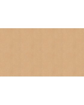 BN 220859 Обои BN (Color Stories II) (1*12) 10,05x0,53 винил на флизелине-foto3