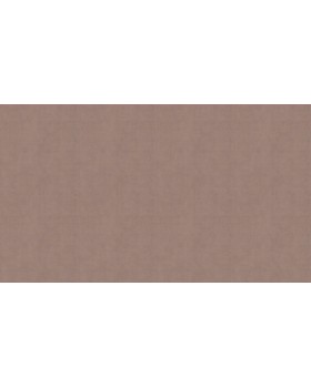 BN 220867 Обои BN (Color Stories II) (1*12) 10,05x0,53 винил на флизелине-foto3