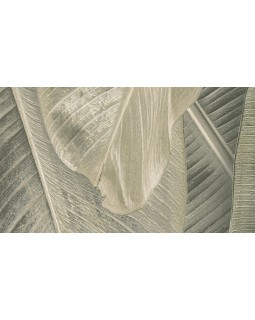 17803 Обои Limonta (Lymphae) (1*6) 10,05х0,53 винил на флизелине-foto2