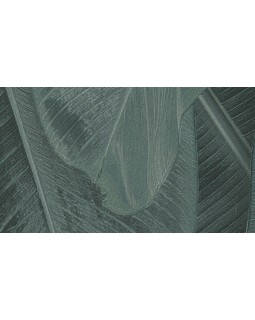 17813 Обои Limonta (Lymphae) (1*6) 10,05х0,53 винил на флизелине-foto2