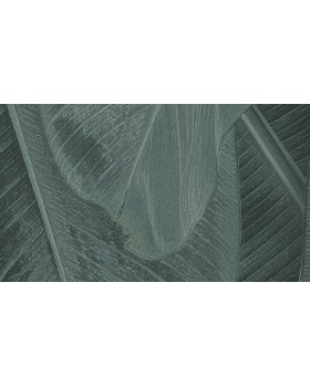 17813 Обои Limonta (Lymphae) (1*6) 10,05х0,53 винил на флизелине-foto2