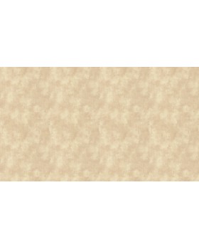 47302L Обои Limonta (Metropole) (1*6) 10,05х0,53 винил на флизелине-foto3