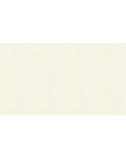 30110 Обои Marburg (Bombay 2) (1*4) 10,05x0,92 винил на флизелине-foto3