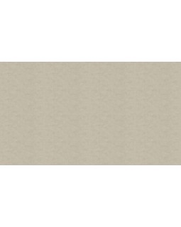 30116 Обои Marburg (Bombay 2) (1*4) 10,05x0,92 винил на флизелине-foto3