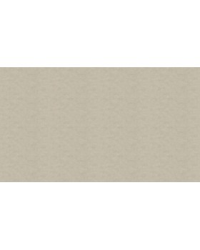 30116 Обои Marburg (Bombay 2) (1*4) 10,05x0,92 винил на флизелине-foto3