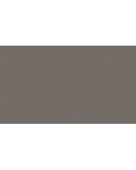 30122 Обои Marburg (Bombay 2) (1*4) 10,05x0,92 винил на флизелине-foto3