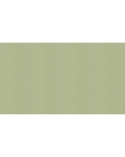 30127 Обои Marburg (Bombay 2) (1*4) 10,05x0,92 винил на флизелине-foto3