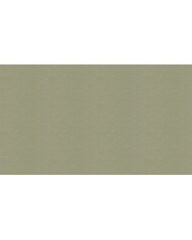 30134 Обои Marburg (Bombay 2) (1*4) 10,05x0,92 винил на флизелине-foto3