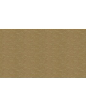 30141 Обои Marburg (Bombay 2) (1*4) 10,05x0,92 винил на флизелине-foto3