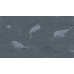 BN 220733 Обои BN (Doodledoo) (1*12) 10,05x0,53 винил на флизелине